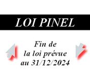 loi-Pinel