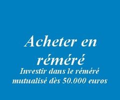 vente-remere-investissement-mutualise-tpcconseil-2